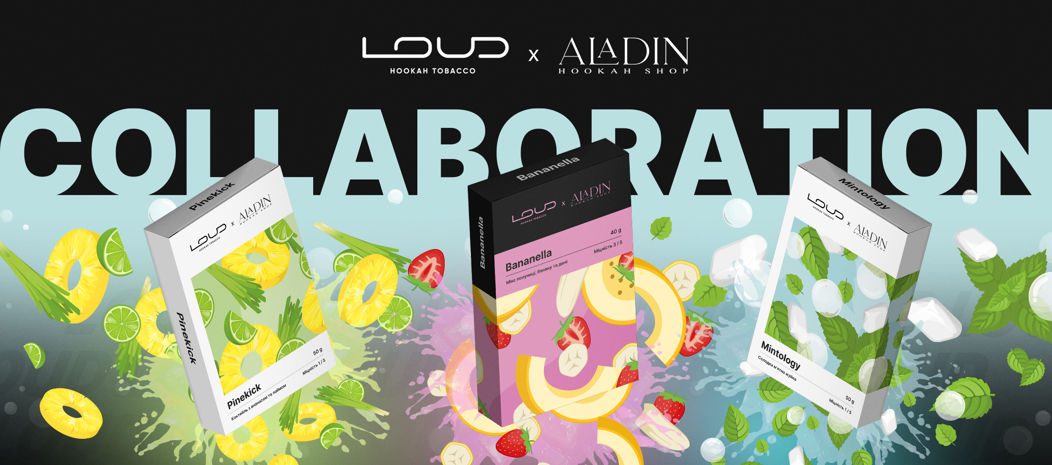 LOUD_Aladin
