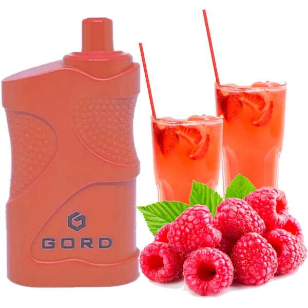 Одноразова електронна сигарета GORD Raspberry Mojito (Малина Мохіто) (4000 Затяжок)