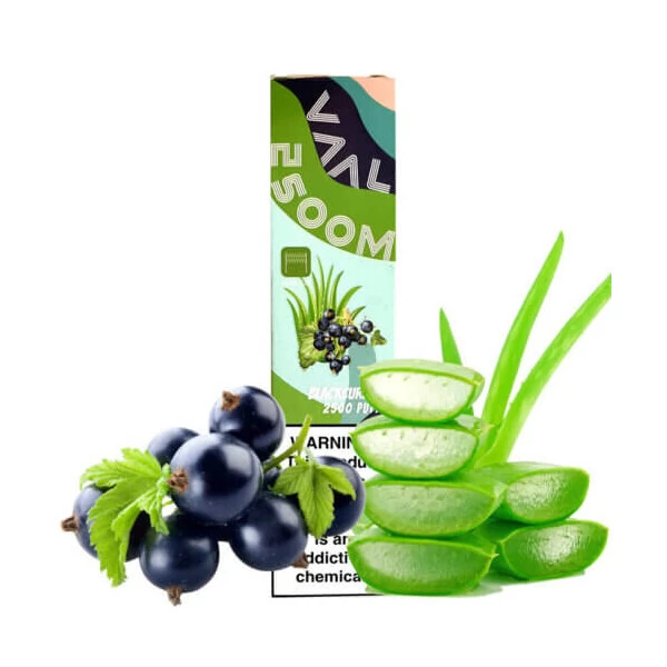 Одноразова електронна сигарета VAAL Aloe Blackcurrant (Алое Чорна Смородина) (2500M Затяжок)