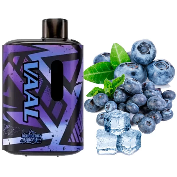 Одноразова електронна сигарета VAAL Blueberry Ice (Чорниця Лід) (E5000 Затяжок)