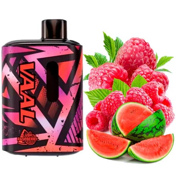 Одноразова електронна сигарета VAAL Lush Raspberry (Лаш Малина) (E5000 Затяжок)