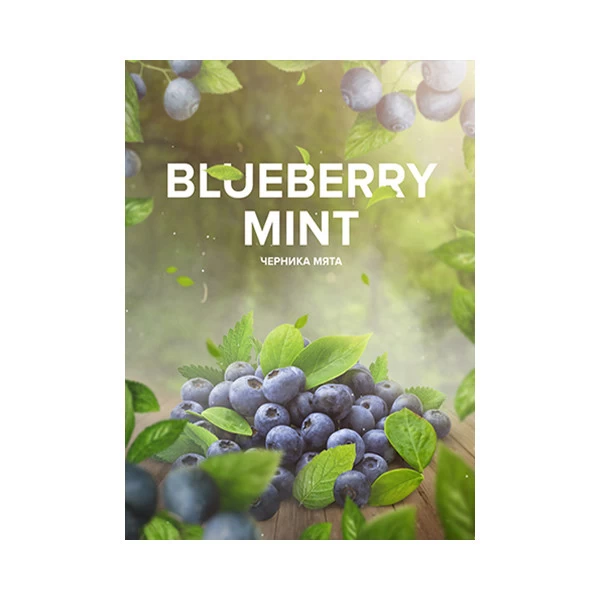 Тютюн 4:20 Tea Line Blueberry Mint (Чорниця М'ята) 125 гр