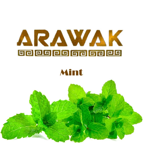 Тютюн Arawak Mint (М'ята) 100 гр