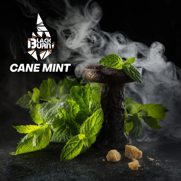 Тютюн Black Burn Cane Mint (Перцева М'ята) 100 гр