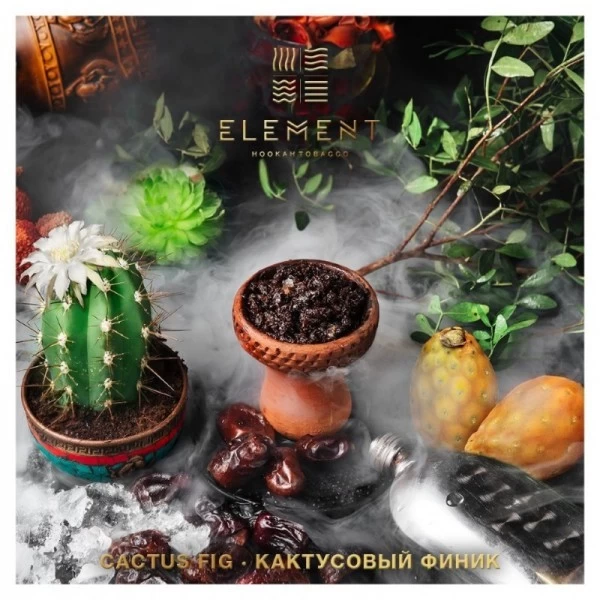 Тютюн Element Вода Cactus Fig (Кактус Фінік) 40 гр