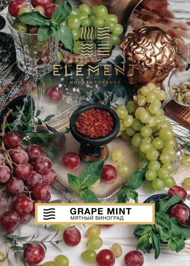 Тютюн Element Повітря Grape Mint (Виноград М'ята) 40 гр