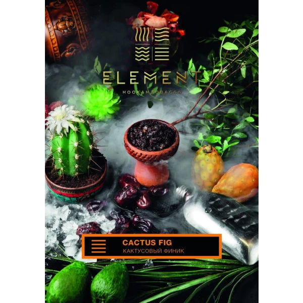 Тютюн Element Земля Cactus Fig (Кактус Фінік) 40гр