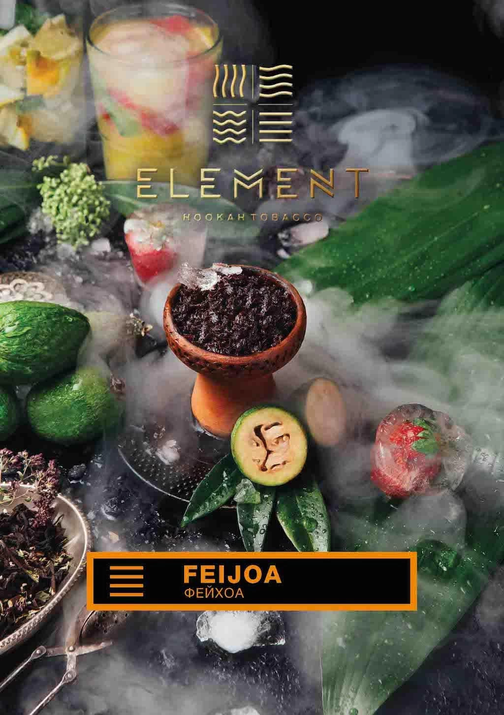 Тютюн Element Земля Feijoa (Фейхоа) 100гр