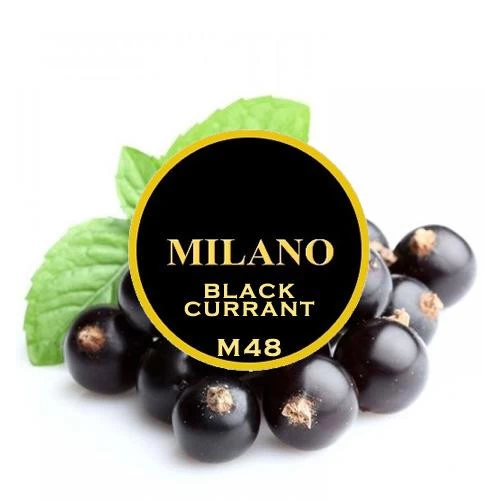 Тютюн Milano Black Currant M48 (Смородина) 100 гр