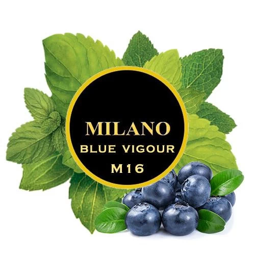 Тютюн Milano Blue Vigour M16 (Чорниця М'ята) 100 гр