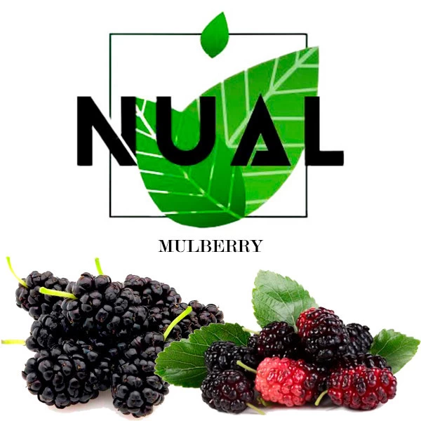 Тютюн Nual Mulberry (Шовковиця) 100 гр