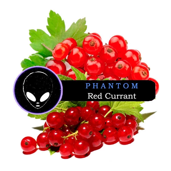 Тютюн Phantom Medium Red Currant (Червона Смородина) 100 гр