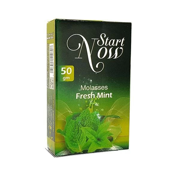 Тютюн Start Now Fresh Mint (Свіжа М'ята) 50гр