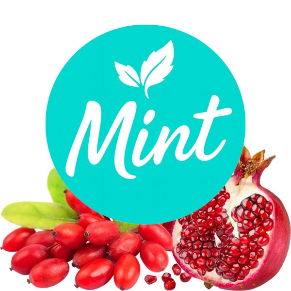 Безникотиновая смесь Mint Барбарис-Гранат 200 гр