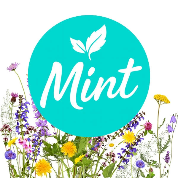 Безникотиновая смесь Mint Цветочный 50 гр