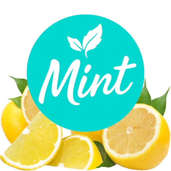 Безнікотинова суміш Mint Лимон 100 гр