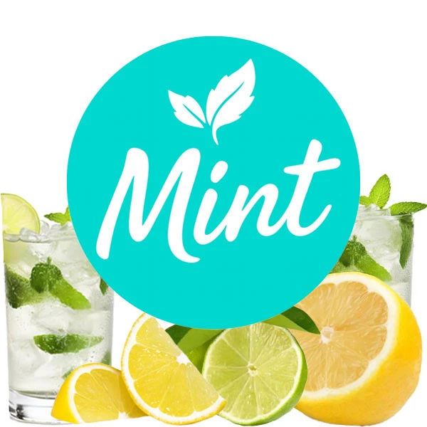 Безникотиновая смесь Mint Мохито 200 гр