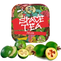 Чайна Суміш Space Tea Feijoa (Фейхоа) 100 гр