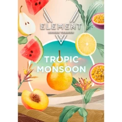 Тютюн Element V Елемент Tropic Monsoon (Тропік Монсун) 25 гр