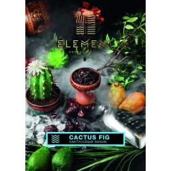 Тютюн Element Вода Cactus Fig (Кактус Фінік) 100гр