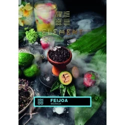 Тютюн Element Вода Feijoa (Фейхоа) 100гр