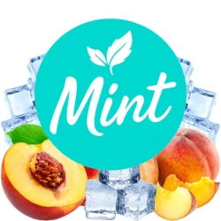 Безникотиновая смесь Mint Айс Персик 200 гр