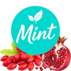 Безникотиновая смесь Mint Гранат-Барбарис 50 гр