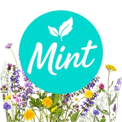 Безникотиновая смесь Mint Цветочный Микс 200 гр