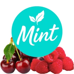 Безникотиновая смесь Mint Вишня-Ягоды 200 гр