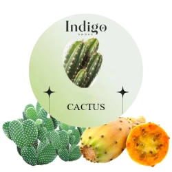 Безтютюнова Суміш IndiGo Cactus (Кактус) 100 гр