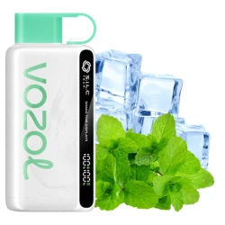 Одноразовая электронная сигарета Vozol Star Cool Mint (Кул Мята) (12000 Затяжек)