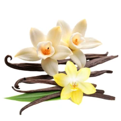 Табак Fumari French Vanilla (Французская Ваниль) 100гр
