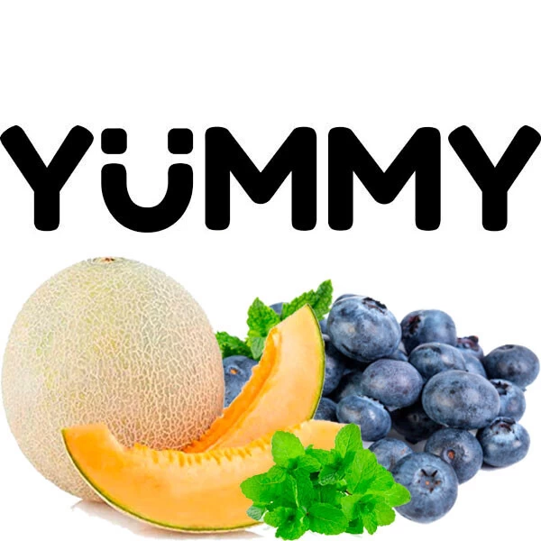 Тютюн Yummy Диня Чорниця М'ята 100 гр